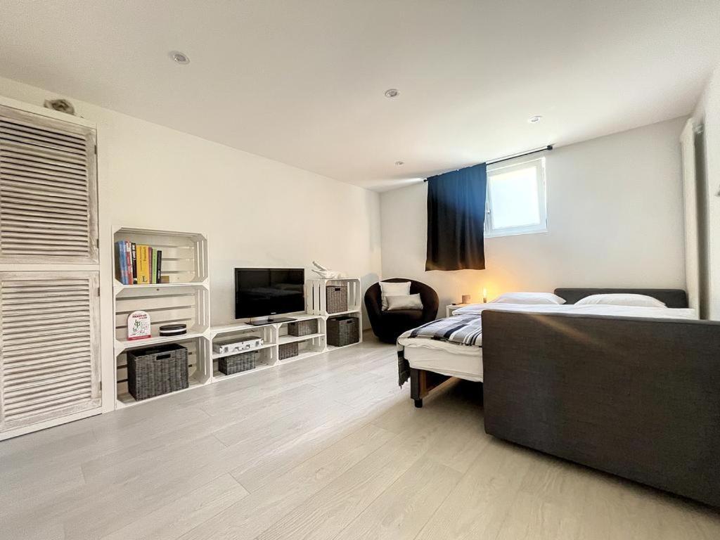 Appartement Moderne Avec Terrasse Et Piscine A Chatel Sur Bex Zewnętrze zdjęcie